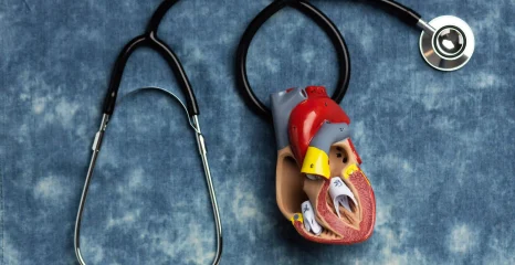 Heart Disease Prevention: Key Tips for a Healthier Heart