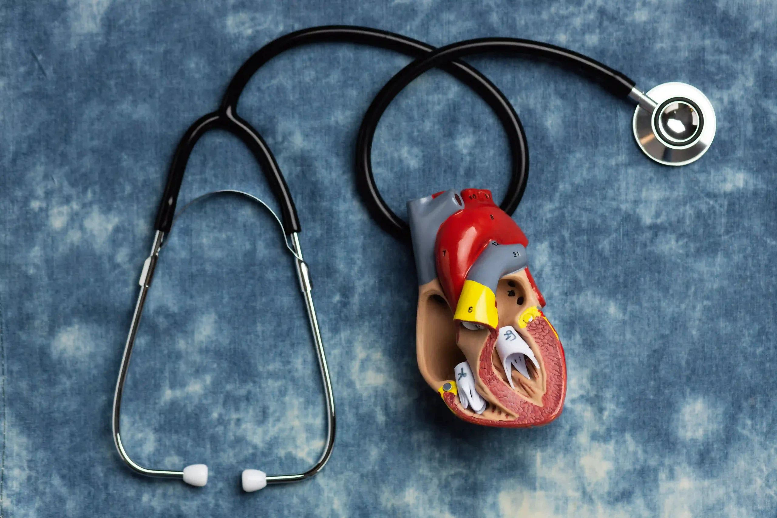 Heart Disease Prevention: Key Tips for a Healthier Heart Heart Disease Prevention: Key Tips for a Healthier Heart